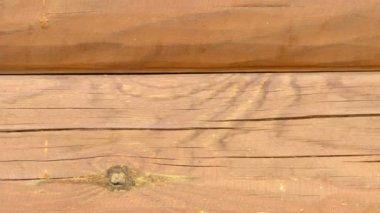 Wooden texture close up