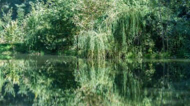 Gölü olan sonbahar manzarası