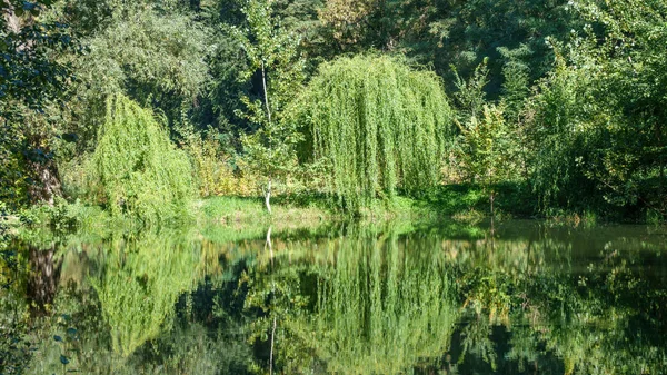 Gölü olan sonbahar manzarası