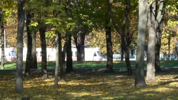 Podzimní slunečno a větrno den v městském parku — Stock video