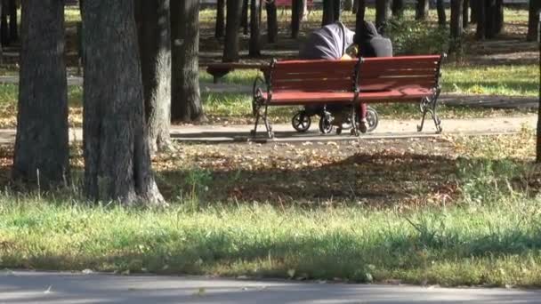 Journée ensoleillée et venteuse d'automne dans le parc de la ville — Video