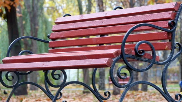 Park bench in a city park — Stock Photo, Image