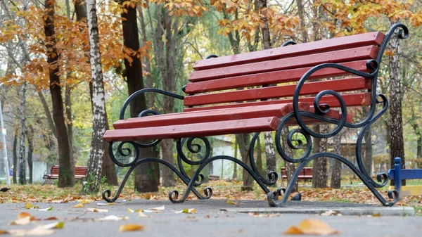 Park bench in a city park — Stock Photo, Image