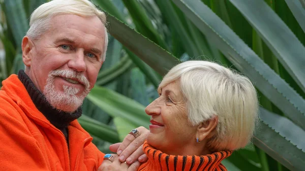 Happy beautiful elderly married couple — Stock Photo, Image