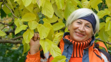 sevimli yaşlı kadın 