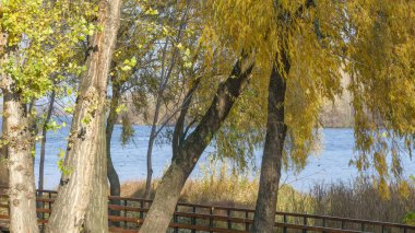 Quay Kiev'de Dinyeper Körfezi