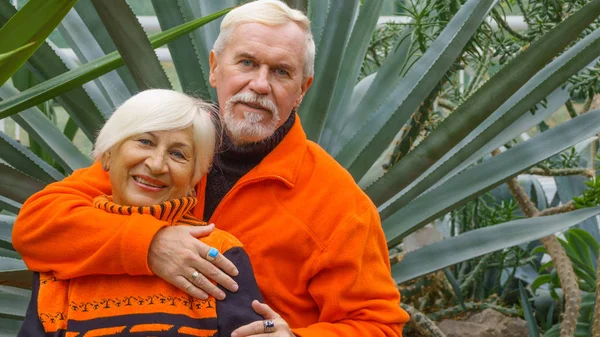 Cheerful positive elderly couple — Stock Photo, Image
