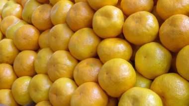 Taze olgun mandalina