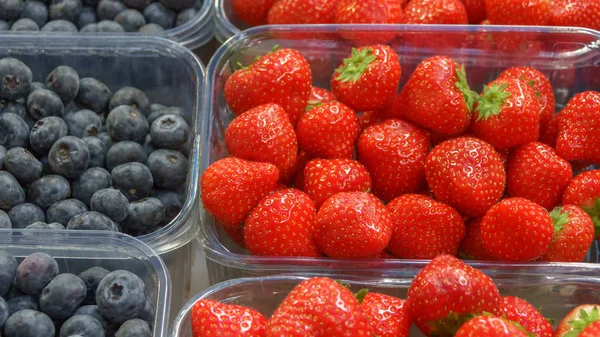 Taze çilek ve yabanmersini.