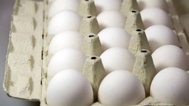 Taze çiğ tavuk yumurta