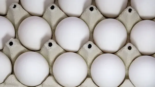 Uova di pollo crude fresche — Foto Stock