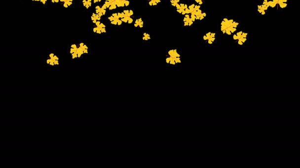 Abstract Animated Design Screen Saver Falling Yellow Leaves Black Background — Stock Video