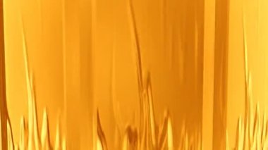 Amorf hareketli rakamlar bilgisayar işleme ile soyut sarı animasyonlu arka plan