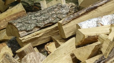Yakacak odun çam ve huş ağacı