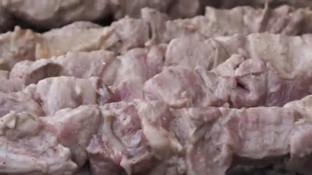 Şişte Domuz Parçaları Izgarada Döner Yanan Kömürde Pişirir Tatilin Arka — Stok video