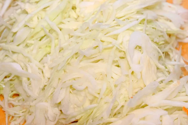 Shredder cabbage for pickling — 스톡 사진