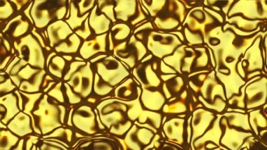 Soyut video klip bilgisayar görüntüleme ekran koruyucusu, kahverengi renklerde arkaplanı hareket ettirme