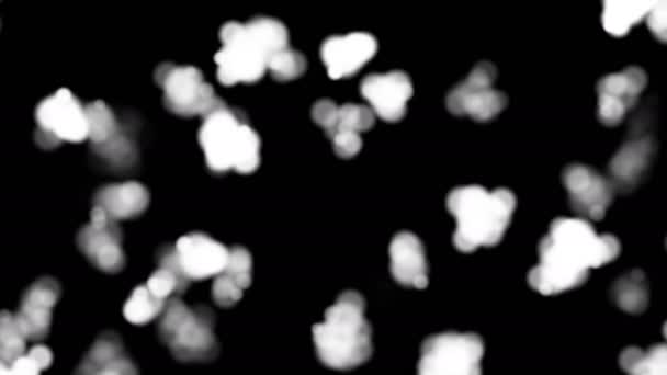 Farklı Şeffaflığa Sahip Beyaz Parçacıklar Siyah Arkaplan Üzerinde Rastgele Hareket — Stok video