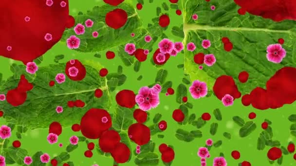 Plant Video Background Computer Generated Rendering Moving Flowers Rose Petals — Stock Video