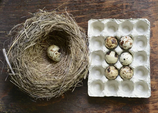 Uova di quaglia in un nido di paglia — Foto Stock
