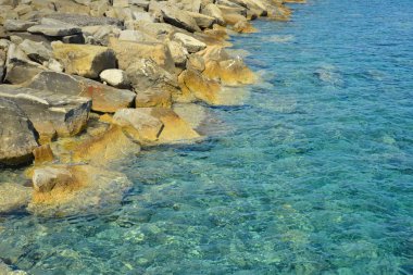 Kayalık sahil arka plan