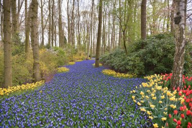 Çiçek mavi nehirden.