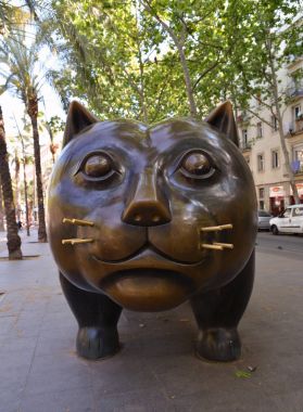Raval kedi.