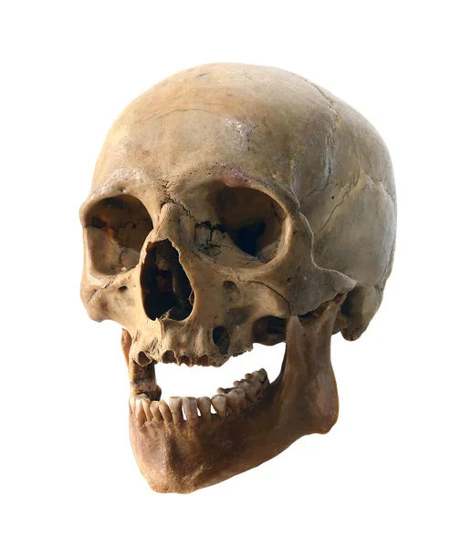 Crâne humain de près — Photo