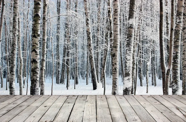 Wooden board table and birch trees — Stock Photo, Image