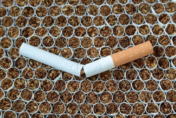 Close up one cigarette — Stock Photo, Image