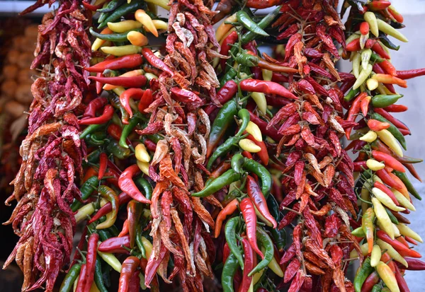 Některé druhy chilli paprik. — Stock fotografie