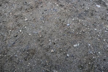 zemin yüzeyi küçük taşlarla