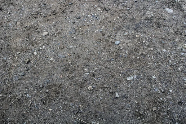 zemin yüzeyi küçük taşlarla