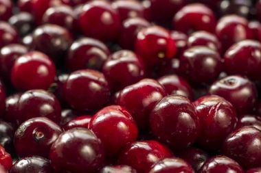 kiraz arka planı için