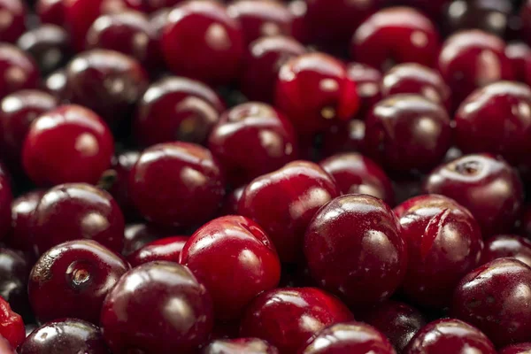 kiraz arka planı için