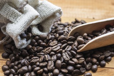 taze kahve çekirdekleri