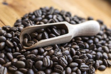 taze kahve çekirdekleri