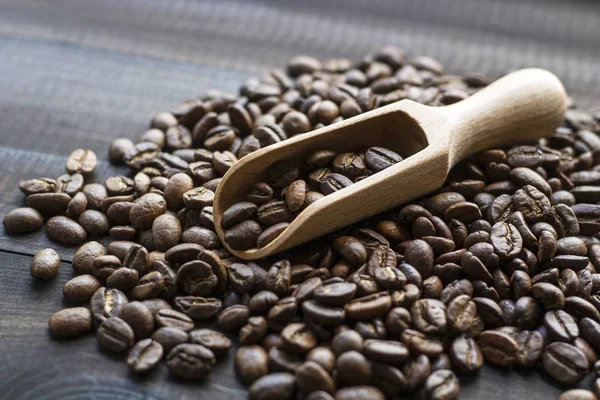 taze kahve çekirdekleri