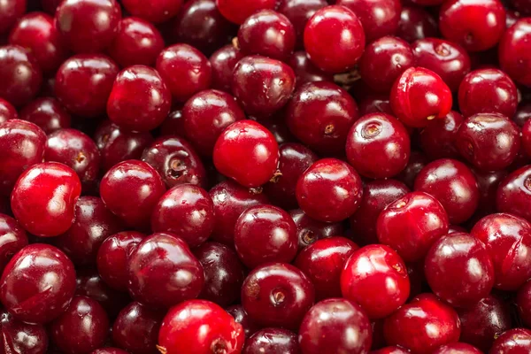 Sulu kiraz arka plan