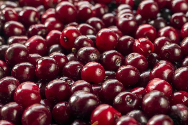 Sulu kiraz arka plan