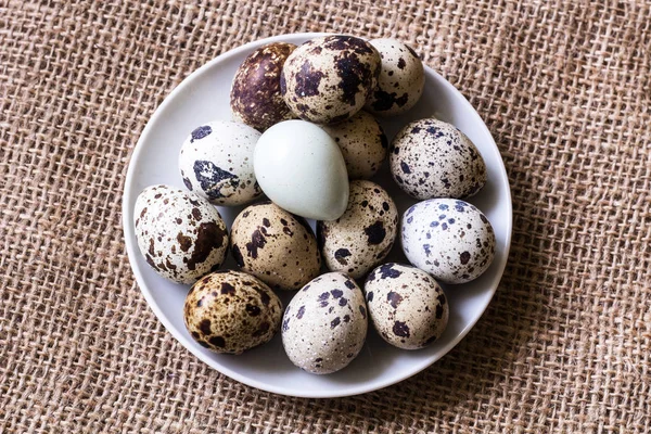 新鲜鹌鹑蛋食品照片 — 图库照片