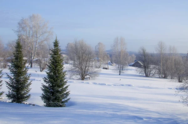 Kışın Sibirya güzel manzara