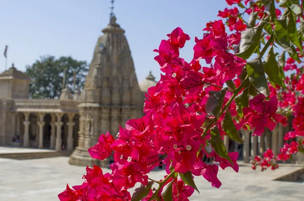 Virágok a régi Jain templom nagy építészeti szépség, Indiában a háttérben — Stock Fotó