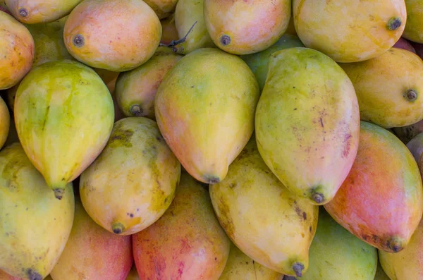 Świeże owoce tropikalne mango na rynku licznik — Zdjęcie stockowe