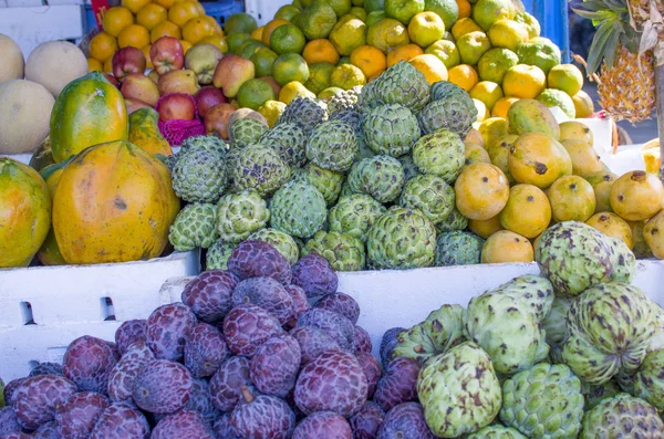 Świeże owoce tropikalne na rynku licznik — Zdjęcie stockowe