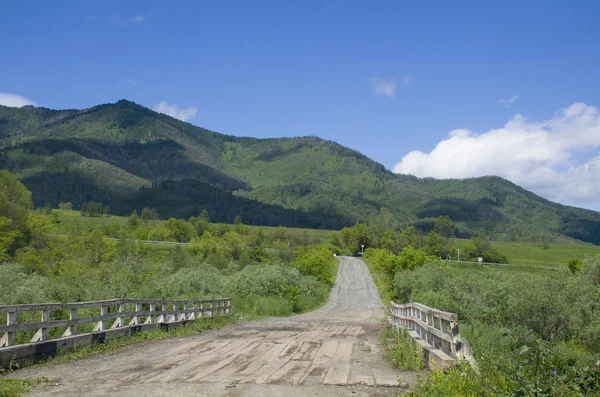 Dağ Altay Rusya doğanın güzel manzara — Stok fotoğraf