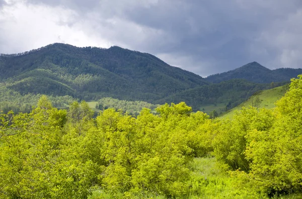 Wunderschöne Landschaft des Naturberges Altai russland — Stockfoto