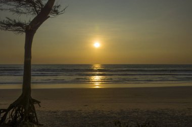 Ağaçların arasında tropikal manzara günbatımı