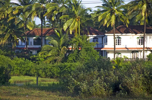 Het Huis Palmboom Tropische Bomen Tegen Achtergrond Van Blauwe Lucht — Stockfoto