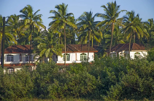 Casa Palmeira Árvores Tropicais Contra Fundo Céu Azul — Fotografia de Stock